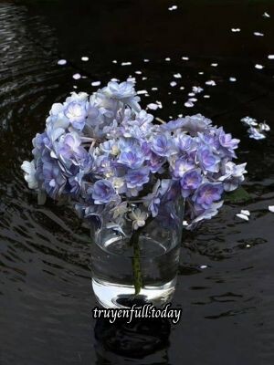 Nhân Gian Hữu Tình - Kiến Hạc